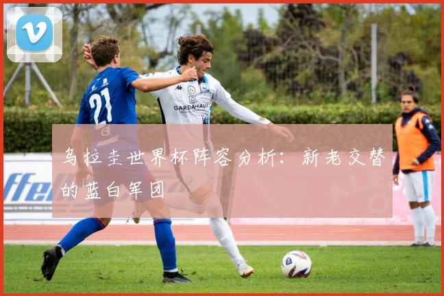 乌拉圭世界杯阵容分析：新老交替的蓝白军团